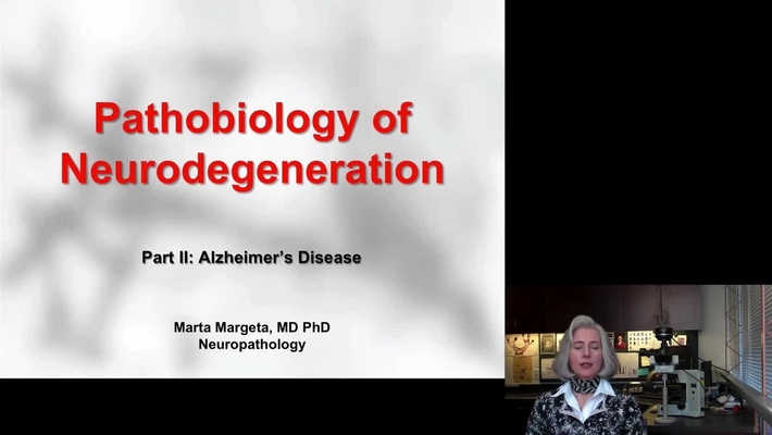 20140509_Path_Neurodegen_Margeta_2 (Source)