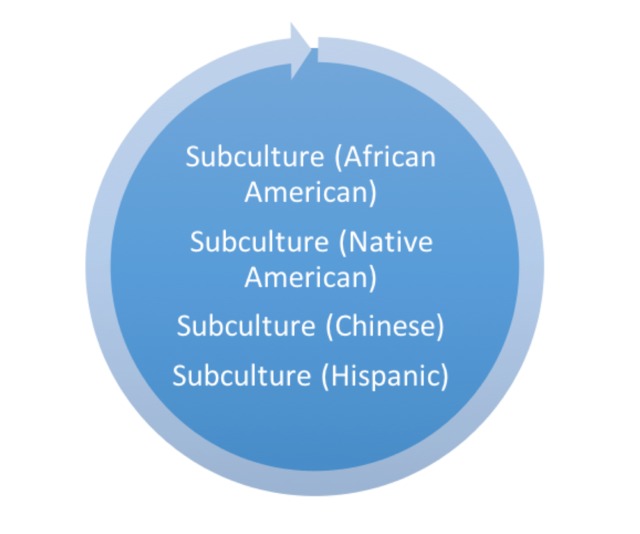 Pluralist Circle