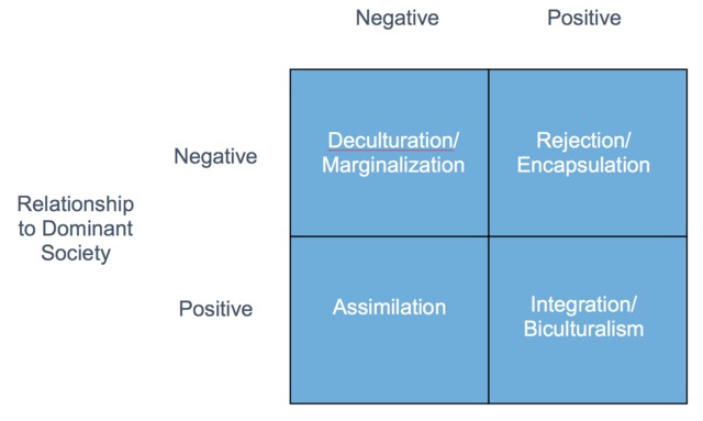 Diagram showing combinations of Relationship to dominant society and cultural identity