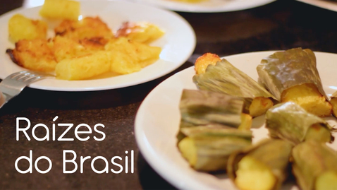 Miniatura de Raízes do Brasil 