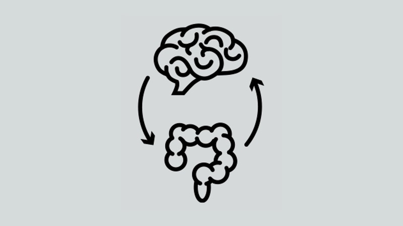Incretin Physiology