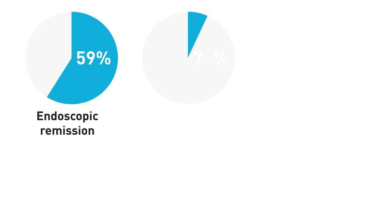 Endoscopic and Clinical Remission in Crohn’s Disease