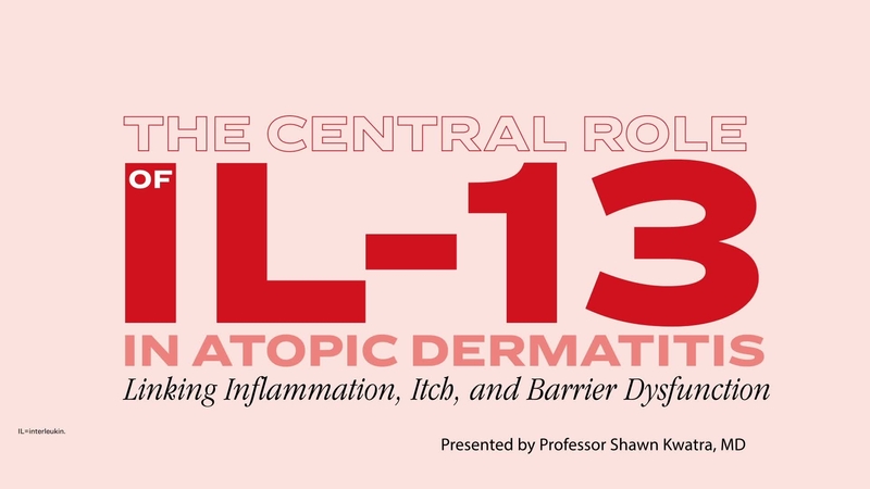 The Central Role of​ IL-13 in Atopic Dermatitis​: ​Linking Inflammation, Itch, ​and Barrier Dysfunction