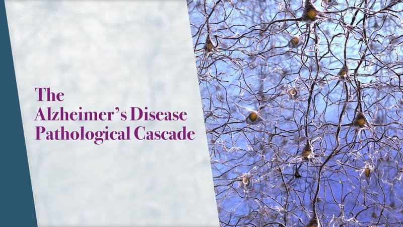 The Alzheimer's Disease Pathological Cascade