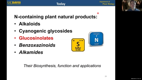 Thumbnail for entry PBI298 Lecture#4-3 Glucosinolates