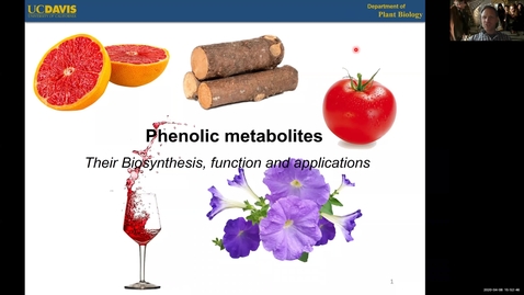 Thumbnail for entry PLB298 Lecture#3 PHENOLICS