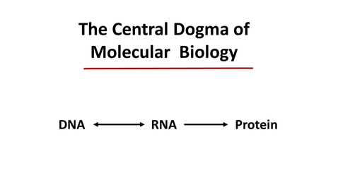 Thumbnail for entry Introduction to Central Dogma lecture