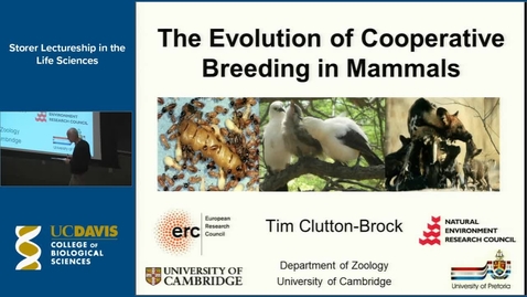 Thumbnail for entry Storer Lecture - Tim Clutton-Brock  4-16-15