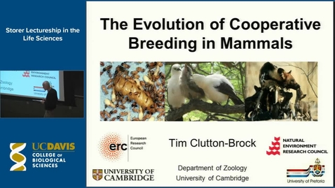 Thumbnail for Storer Lecture - Tim Clutton-Brock  4-16-15