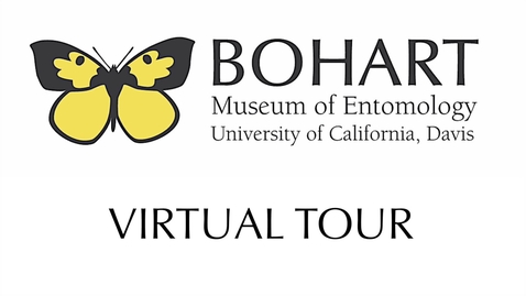 Thumbnail for Bohart Virtual Tour Sneak Peek