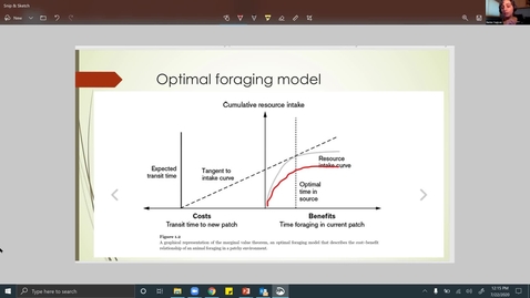 Thumbnail for SITT 2020 Live Event - Dr. Narine Yegiyan
