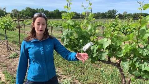 Thumbnail for 101C: Week 5_Video 16 - Water Potential With Dr Bartlett 7.MOV