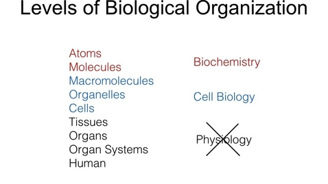 Thumbnail for MCB 10. Introduction to Human Heredity. Fall 2017. Lecture 2 (Tues Oct 3)