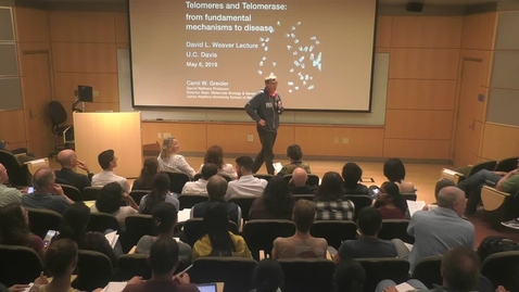 Thumbnail for Weaver Lecture - Carol W. Greider - May 8, 2019