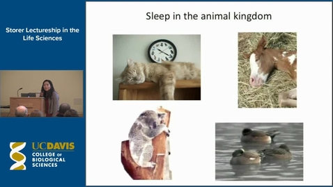 Thumbnail for Storer Lecture - Amita Sehgal 1-15-15