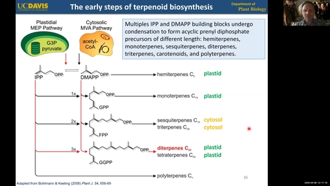 Thumbnail for entry PLB298 Lecture#2 TERPENOIDS ADDITION