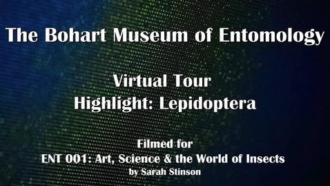 Thumbnail for entry ENT 001 Bohart Museum of Entomology Virtual Tour Highlight: Lepidoptera Collection (Dr. Diane Ullman)