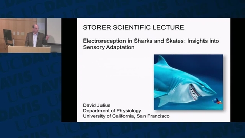 Thumbnail for Storer Lecture - David Julius - 10-11-2018