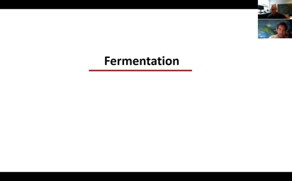 Let's Talk About Fermentation