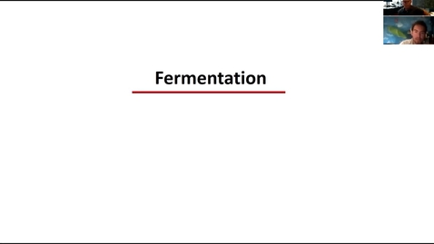 Thumbnail for entry Fermentation lecture