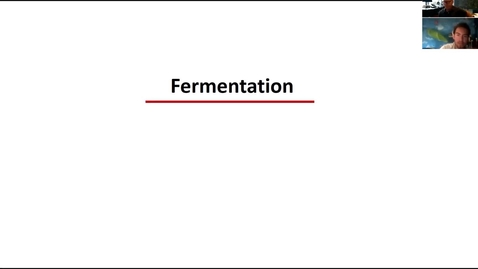 Thumbnail for Fermentation lecture