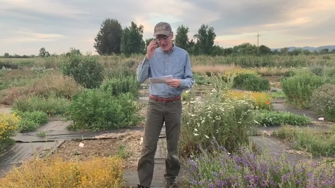 Thumbnail for PLS 150 Introduction to wildflower field-plots