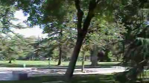 Thumbnail for Emeriti - VM_Bill_Pritchard