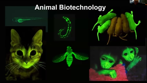 Thumbnail for entry Animal biotechnology 1 Lecture