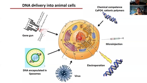 Thumbnail for entry Animal biotechnology 2 Lecture