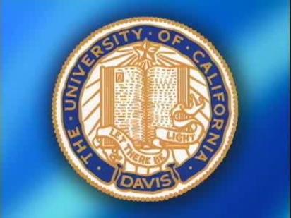 Badges Instead of Grades  Harvard Graduate School of Education