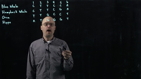 Thumbnail for Unrooted Trees and Parsimony