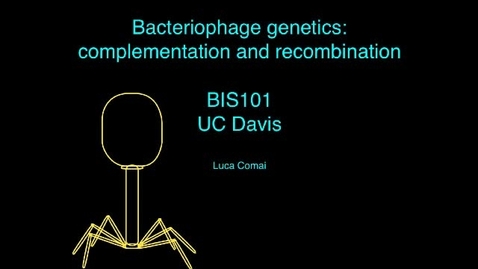 Thumbnail for entry Gene complementation and recombination in bacteriophages