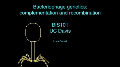 Thumbnail for Gene complementation and recombination in bacteriophages