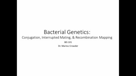 Thumbnail for entry Bacterial Conjugation Analysis