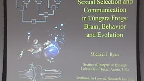 Thumbnail for entry Storer Lecture - Michael J. Ryan 01-14-2010