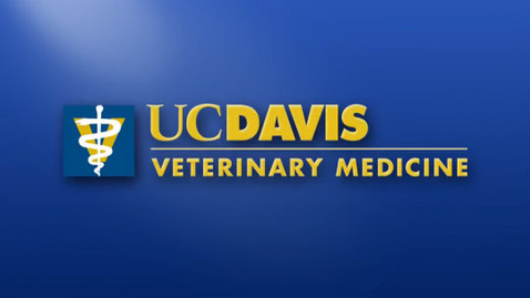 Thumbnail for 2014 Vet Med Commencement
