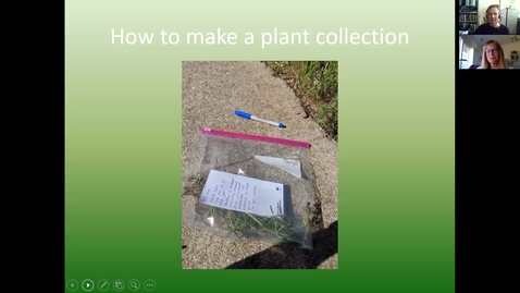 Thumbnail for entry Supplement03: Making Herbarium Specimens (Guest Presentation by Julie Kierstead)