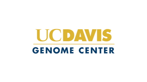Thumbnail for entry Genome Center Ident
