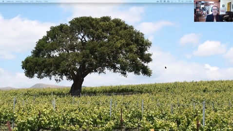 Thumbnail for VEN290 Wine aging in oak barrels by Mark Bui-Ford (April 7 2020)