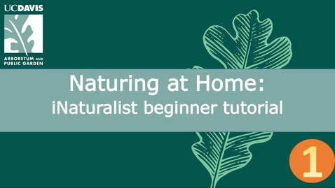 Thumbnail for entry Naturing at Home: iNaturalist beginner tutorial | Part 1 of 3
