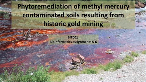 Thumbnail for entry Bioinformatics 5 and 6:  Bioremediation of historic gold sites