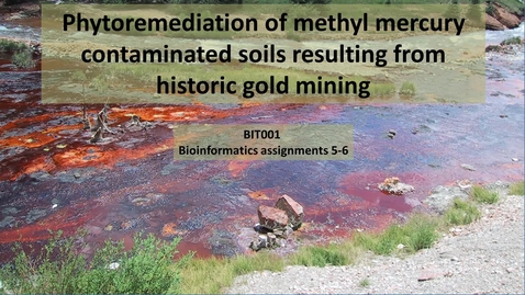 Thumbnail for Bioinformatics 5 and 6:  Bioremediation of historic gold sites