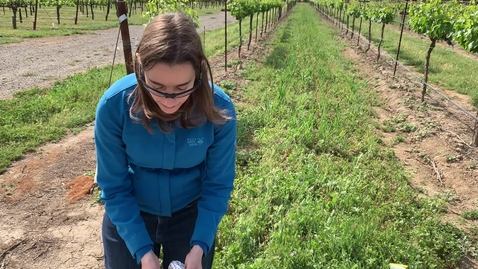 Thumbnail for 101C: Week 5_Video 17 - Water Potential With Dr Bartlett 7.5.MOV