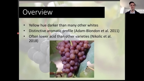 Thumbnail for VEN290 Gewurztraminer flavor by Preston Kramer (April 7 2020)