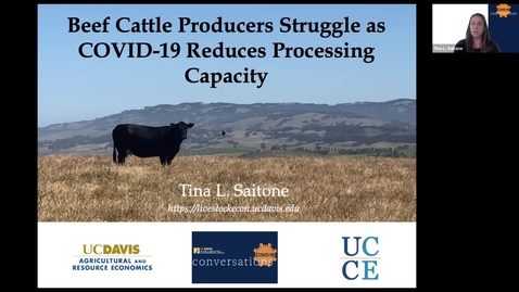 Thumbnail for entry Cattle Producers Struggle During COVID-19