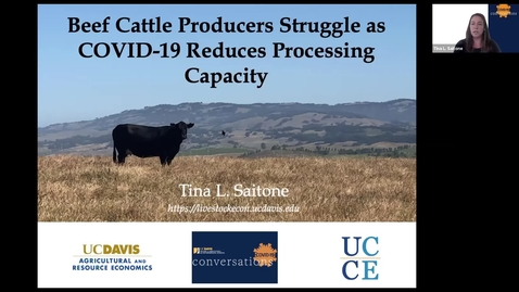 Thumbnail for Cattle Producers Struggle During COVID-19