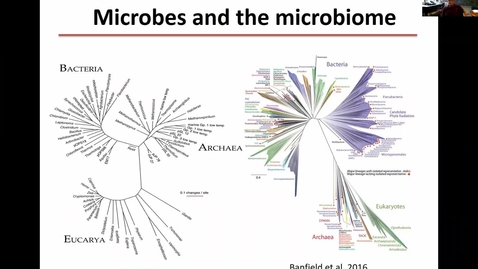 Thumbnail for Metagenomics and bioremediation