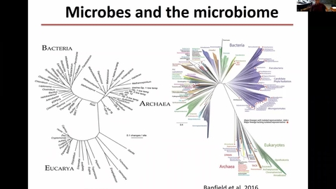 Thumbnail for entry Metagenomics and bioremediation