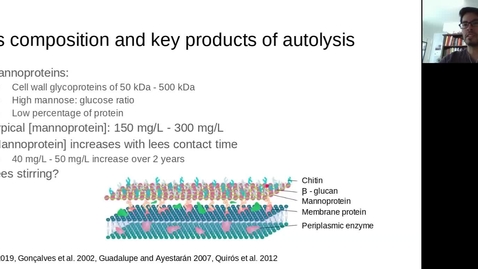 Thumbnail for VEN290 Interactions between Wine and Saccharomyces cerevisiae Lees during Aging by Andre Swart (May 19 2020)