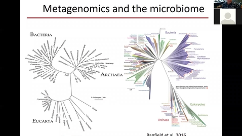 Thumbnail for entry Metagenomics and microbiome lecture